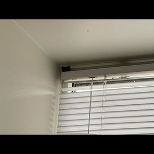 Meet your Posher, Bernard